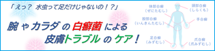 白癬菌による皮膚トラブルのケア